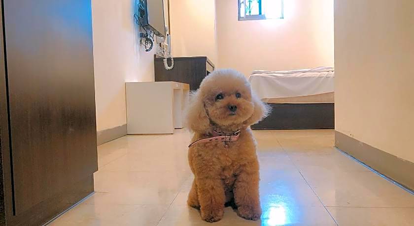 Kiwi Express Hotel - Kaohsiung Station