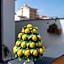 Marranzanu Rooms
