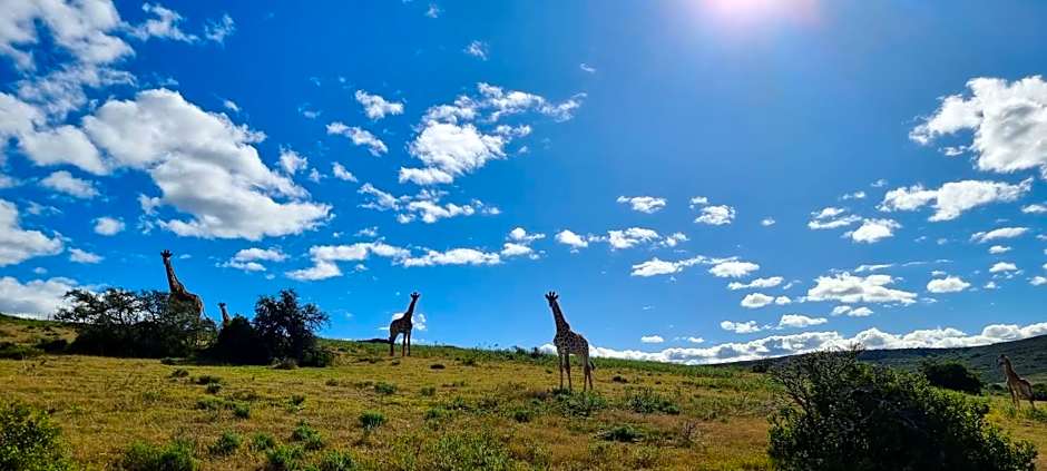 Garden Route Safari Camp