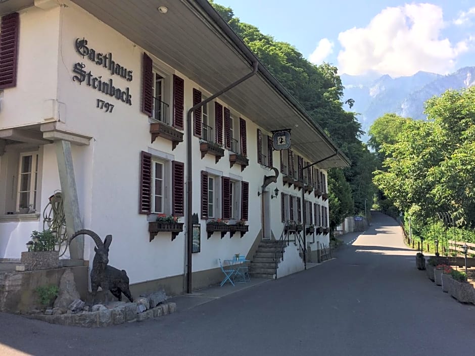 Historic Hotel Steinbock