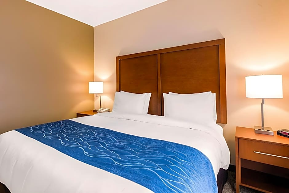 Comfort Inn & Suites IAH Bush Airport - East