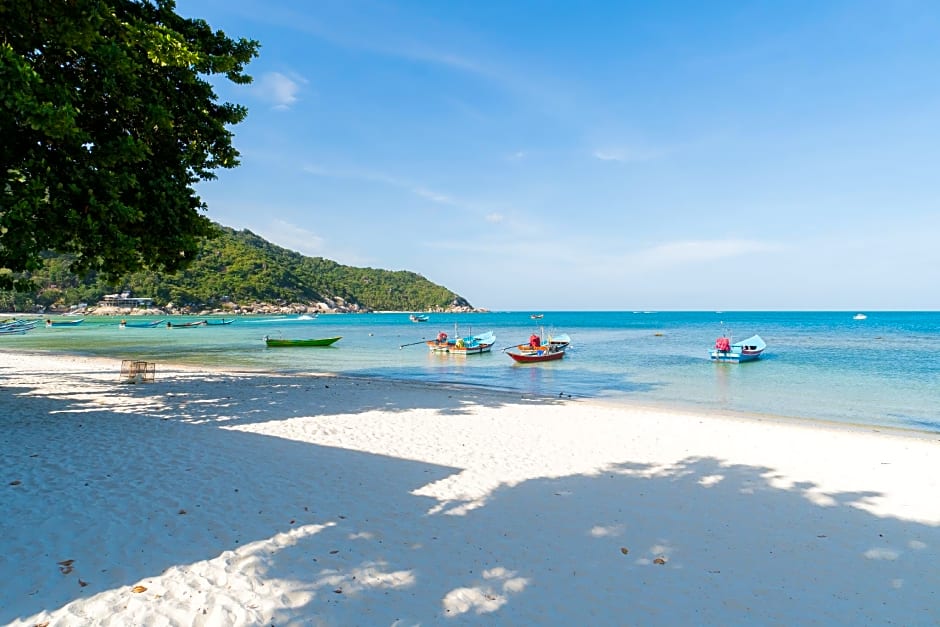 Little Paradise Haad Rin Koh Phangan