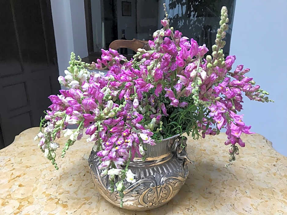 Casa Antigua - Terraza con Vistas al Mar