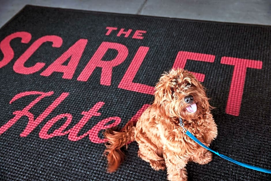 The Scarlet, Lincoln, a Tribute Portfolio Hotel