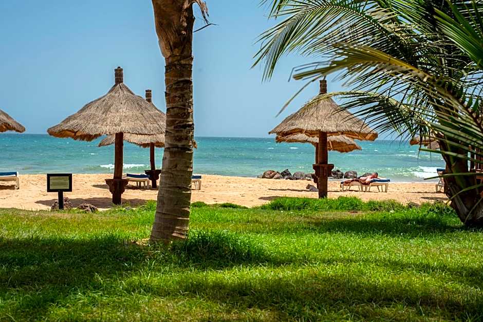 Royal Horizon Baobab