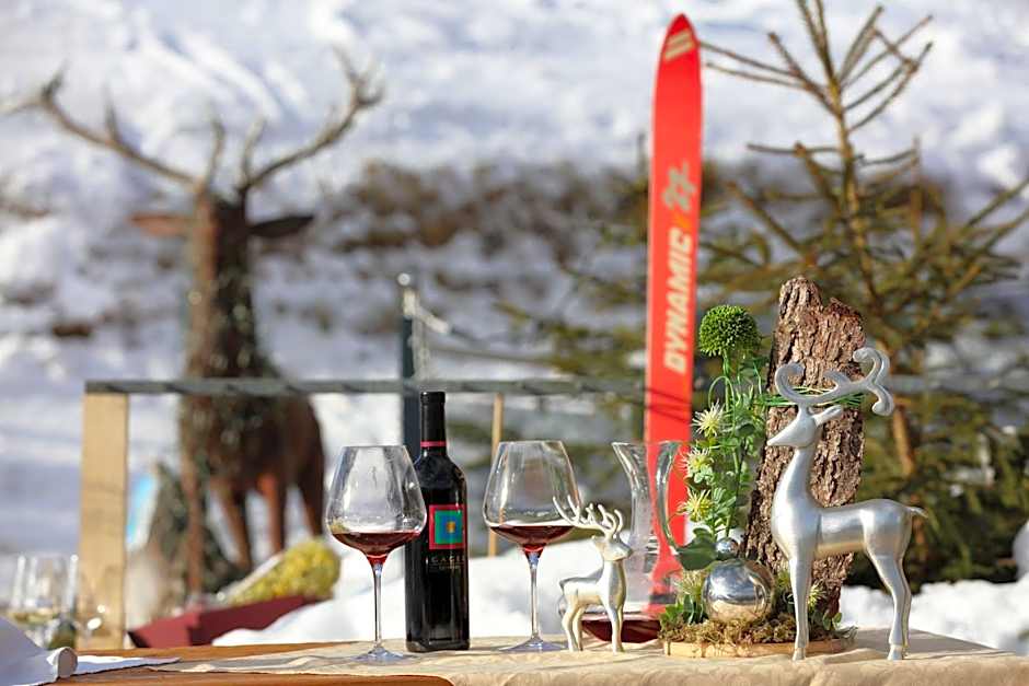 Hotel und Alpen Apartments mit Sauna - Bürglhöh