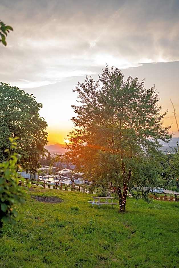 Alya Kartepe Villa Hotel