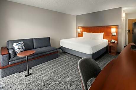 Room, 1 King Bed with Sofa bed (1 King Bed and 1 Double Sofa Bed)