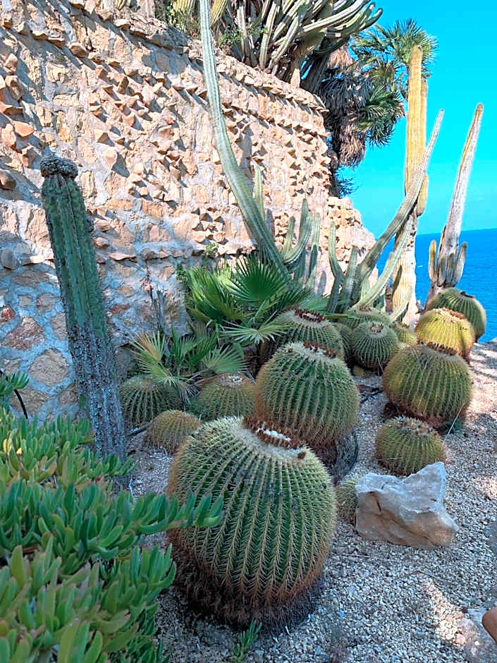 El jardin Botánico Villa LUZ