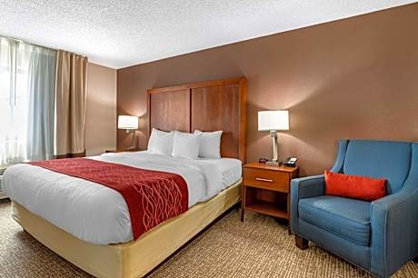 King Suite with Sofa Bed - Non-Smoking