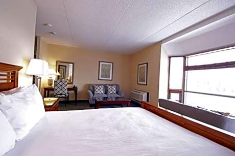 Suite-1 King Bed, Non-Smoking, Separate Bedroom, Fireplace, Jetted Tub, Wet Bar