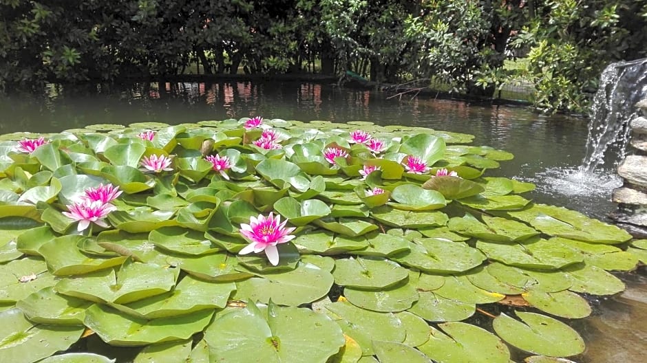 Il Pozzo e il Melograno