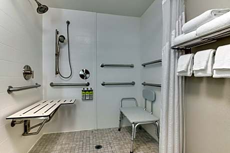 King Suite - Wheelchair Accessible