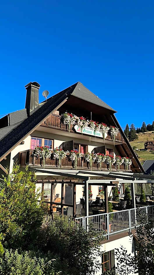 Hotel & Restaurant Grüner Baum - Die Grüne Oase Am Feldberg