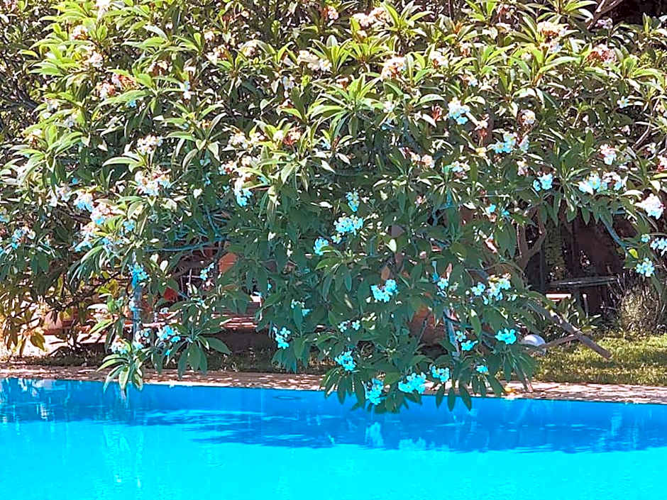 Villa Megna - Green Paradise B&B