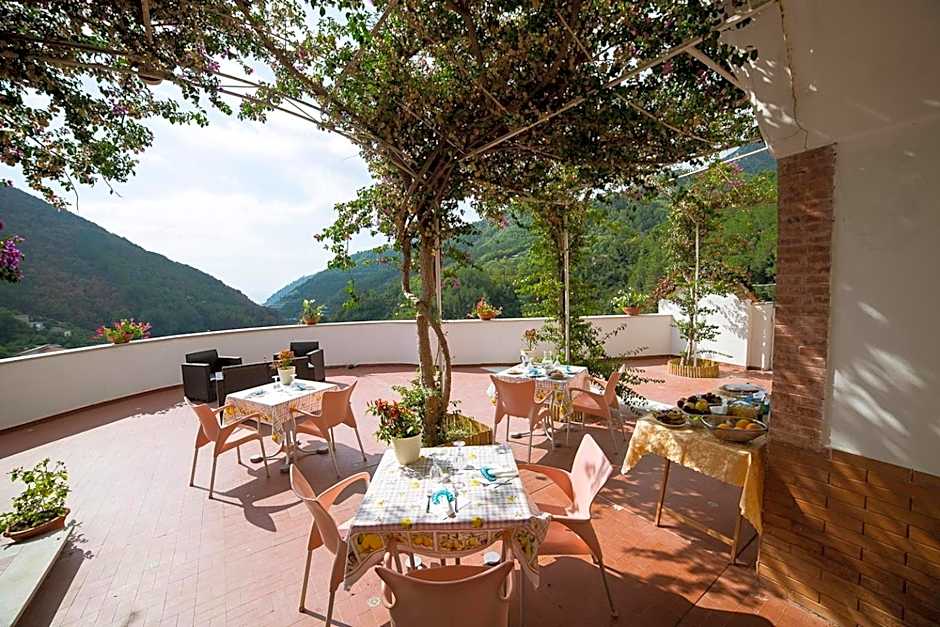 B&B Bouganville