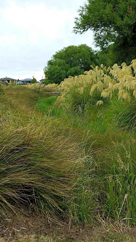 Olive House Bed and Breakfast