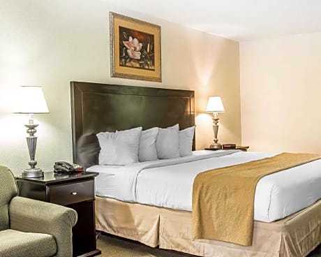 King Room - Non-Smoking