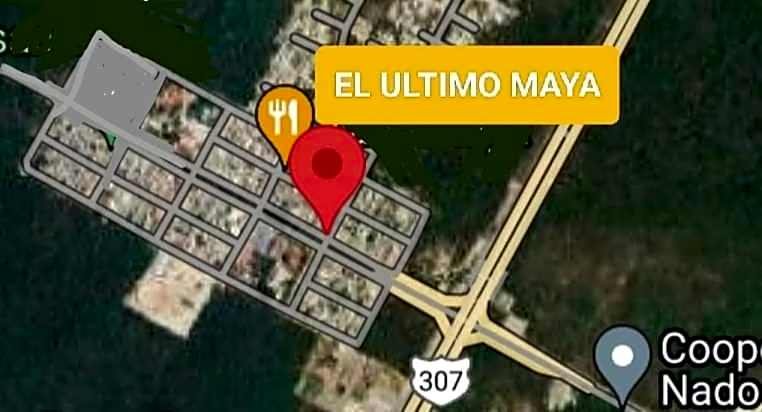 El Ultimo Maya
