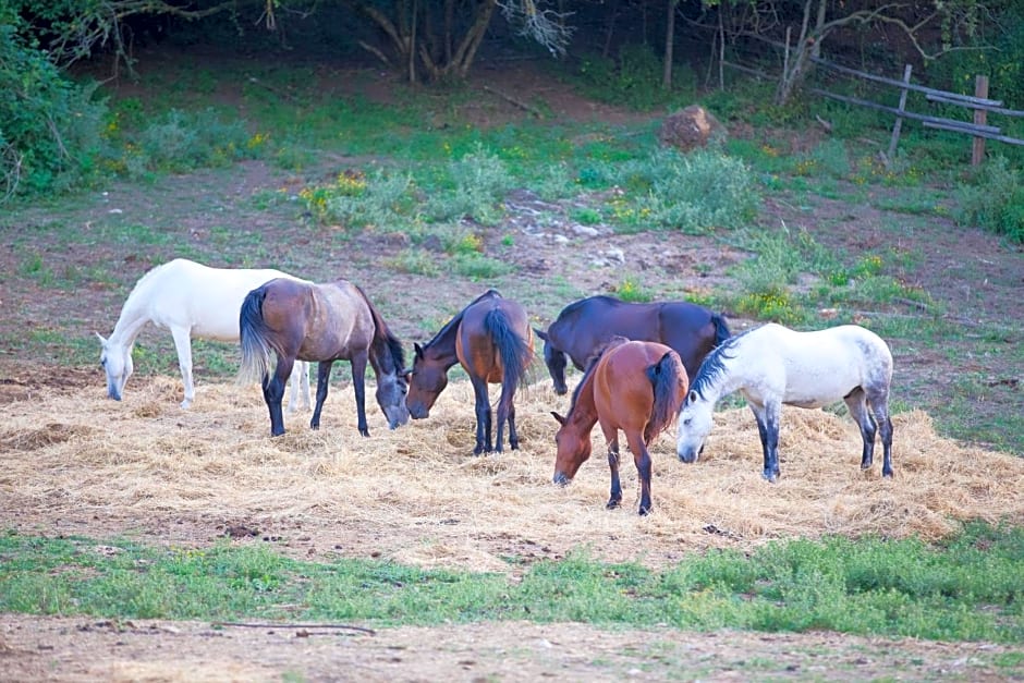 La dimora degli Etruschi