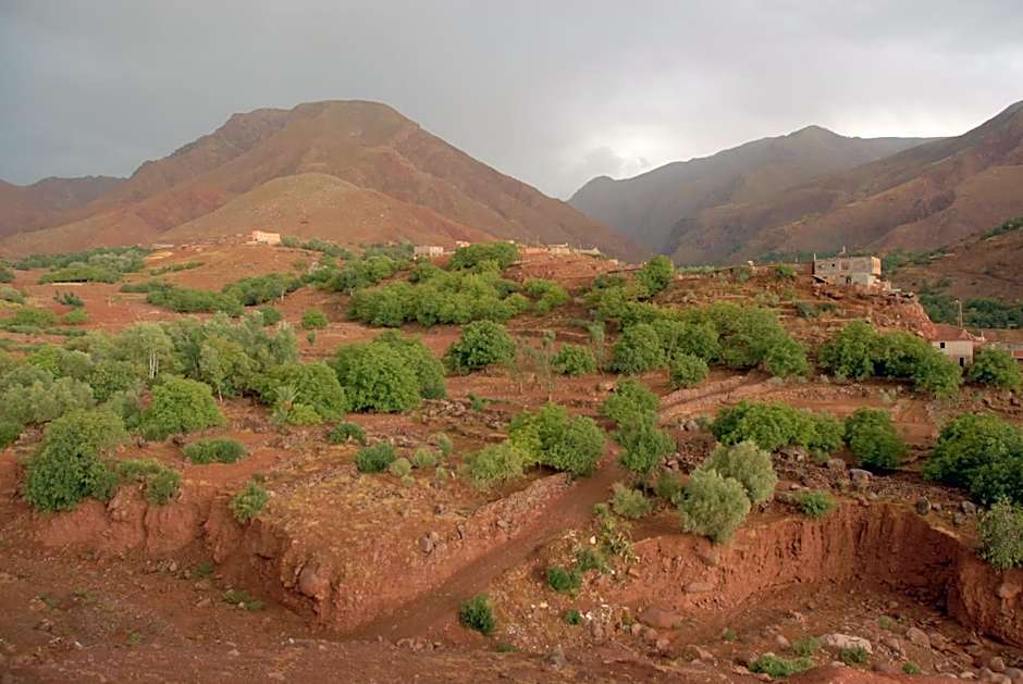 Riad Lorsya