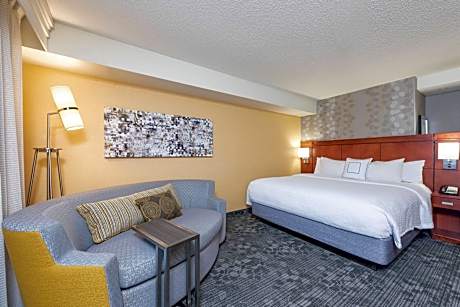 Room, 1 King Bed with Sofa bed (1 King Bed and 1 Double Sofa Bed)