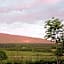 Maghernahar House B&B