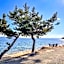 Pension B,B, Dylan - Vacation STAY 22453v