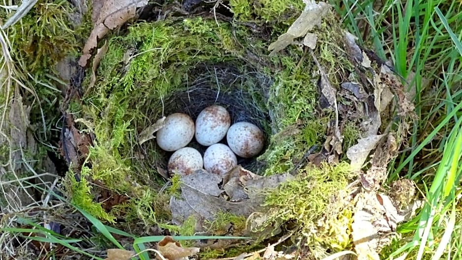 Chambres de Monthéard