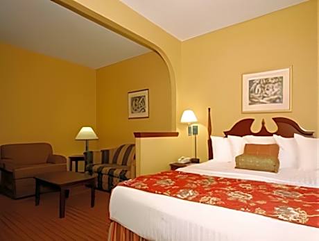 1 Bedroom King Suite