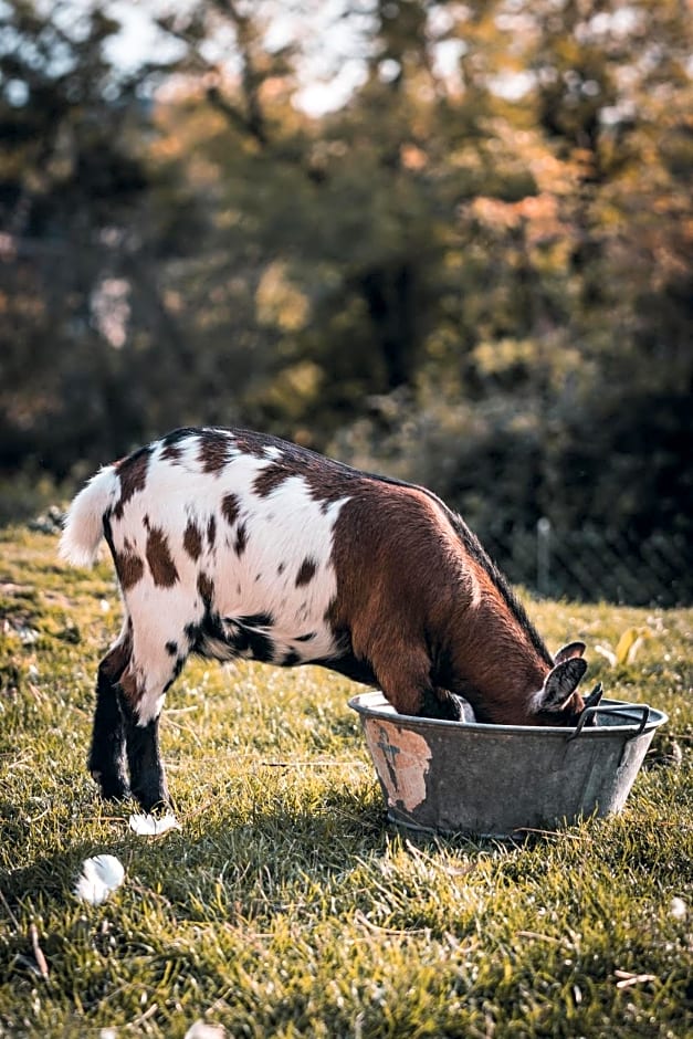 La Maison au bord du Lac