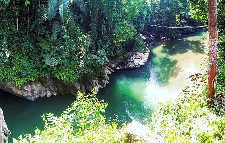 Green lodge tangkahan 