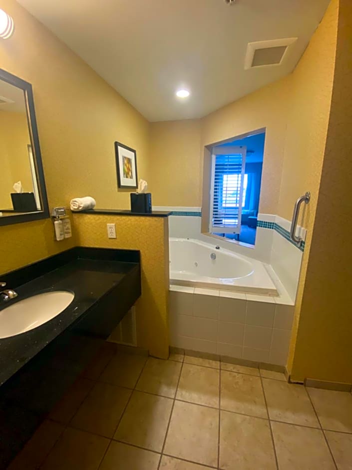 Holiday Inn Express and Suites Detroit North-Troy By IHG