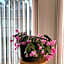 Cozy Guest Rooms Near UBC, Downtown and Beaches