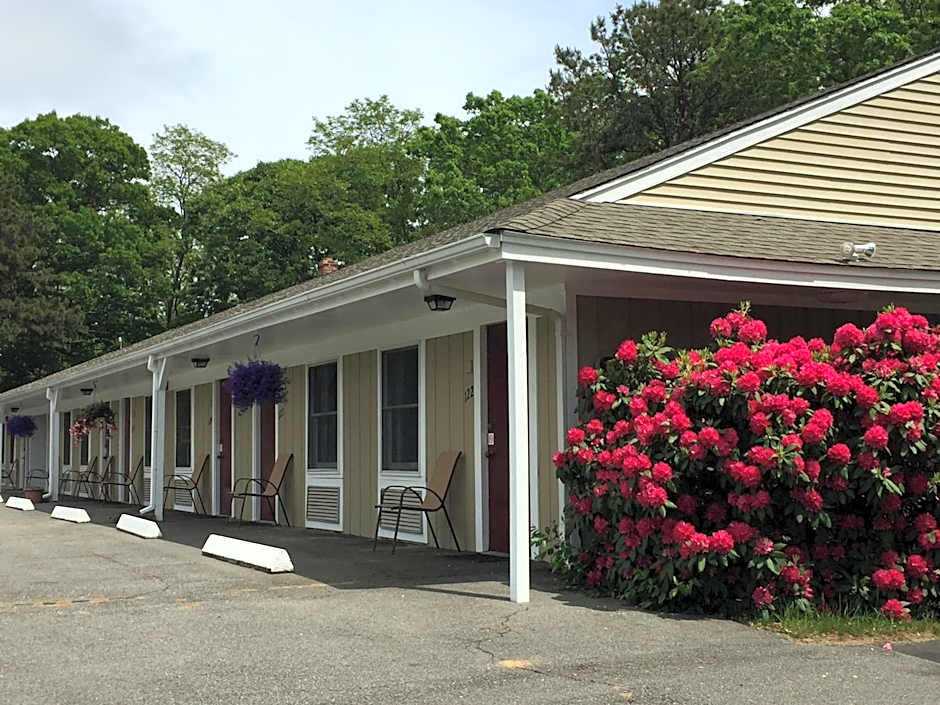 Viking Shores Motor Inn