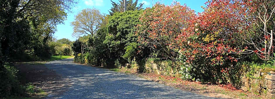 Aux Arbres Chanteurs