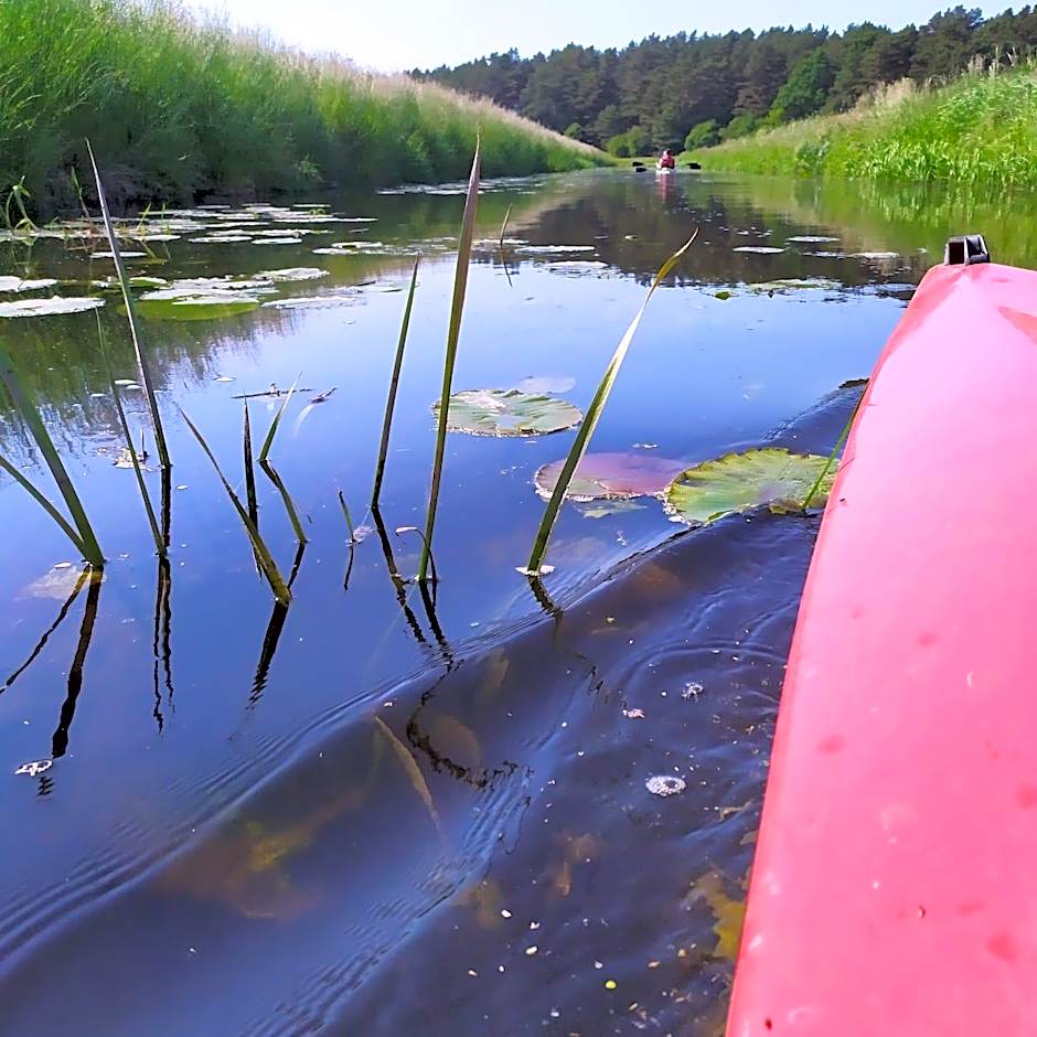 Ostoja Sosnowa Czarny Mlyn, kompleks dwóch domkow