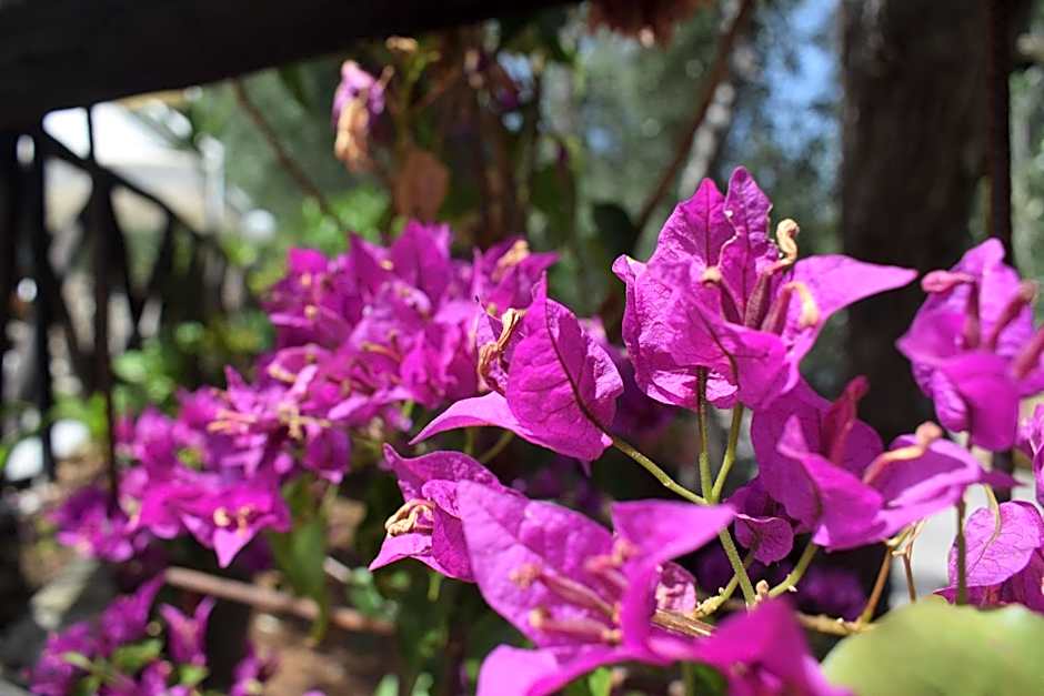 Village Valle D'Oro ApartHotel