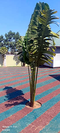 Elegance Lodge &Hotel