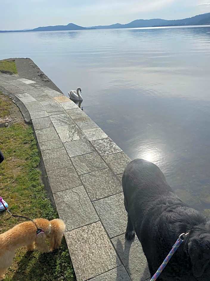 B&B La Rosa del Lago