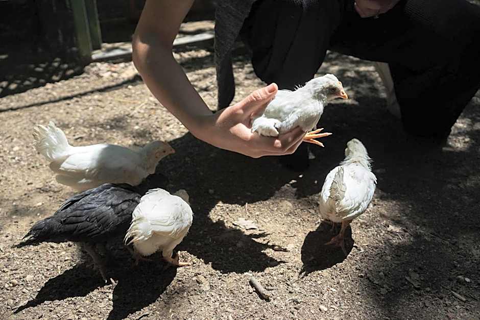 B&B Il giardino degli incanti