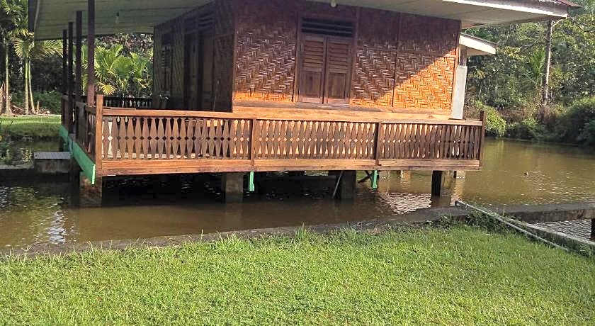 Green lodge tangkahan 