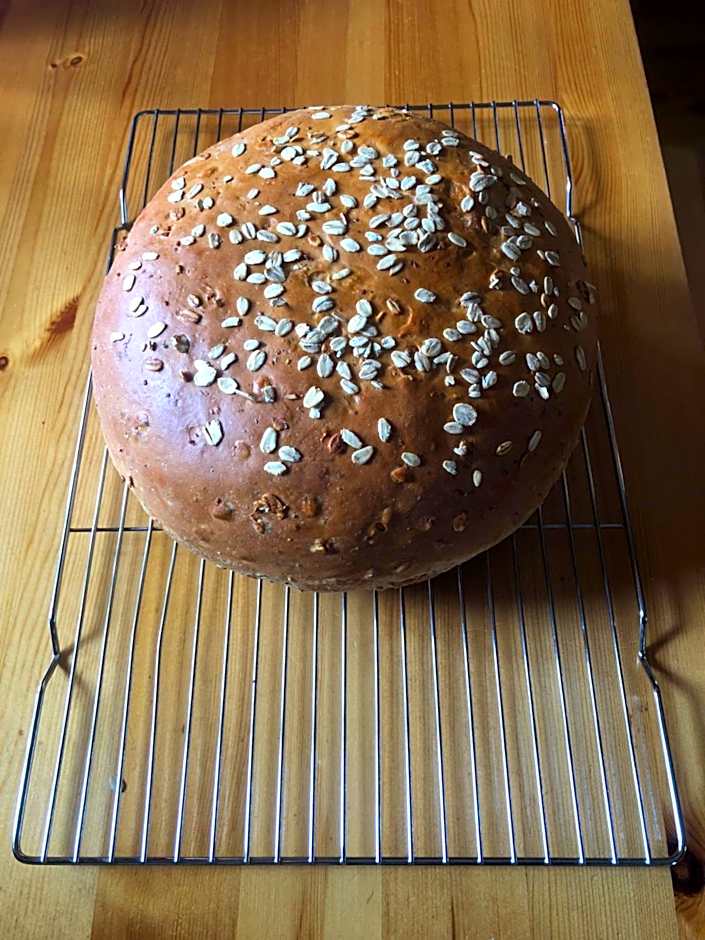 Vines and Puppies Hideaway