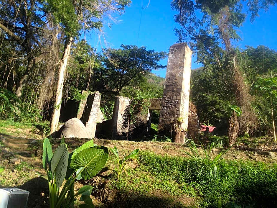 Martinique Treehouse