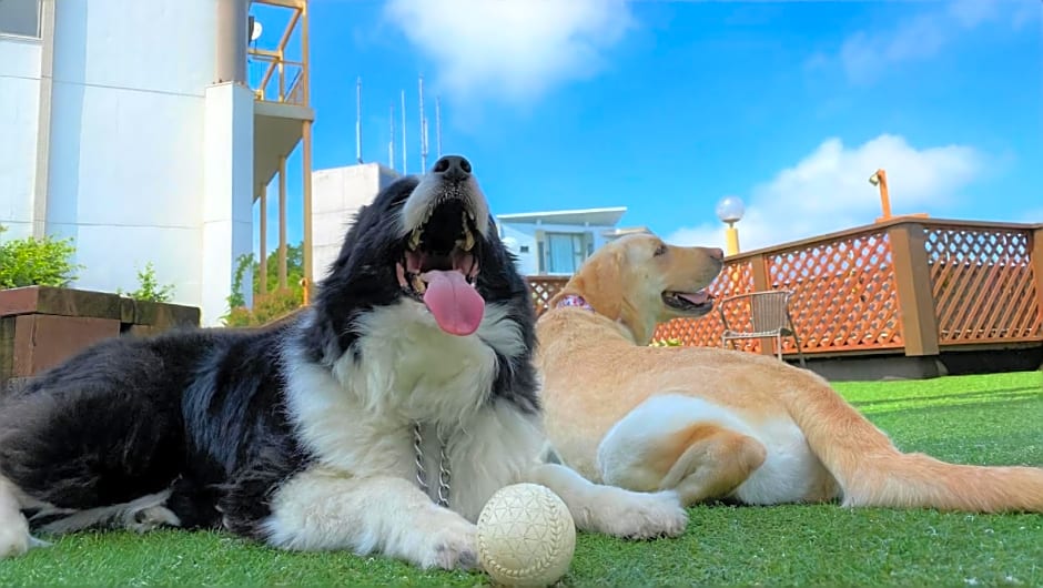 Izu-Kogen Wan Wan Paradise Condominium