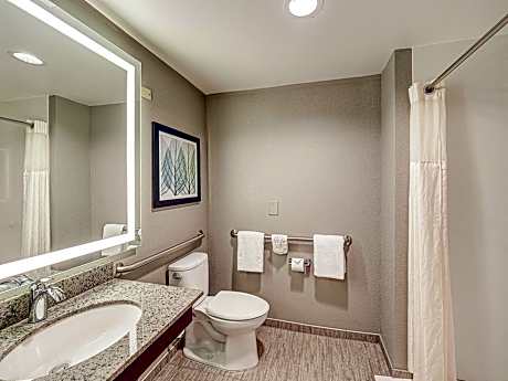 King Room with Roll-In Shower - Mobility Access