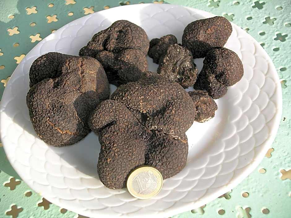 Les Feuillantines Perigord Noir