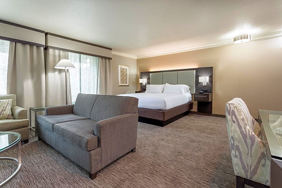 Holiday Inn Auburn, an IHG Hotel