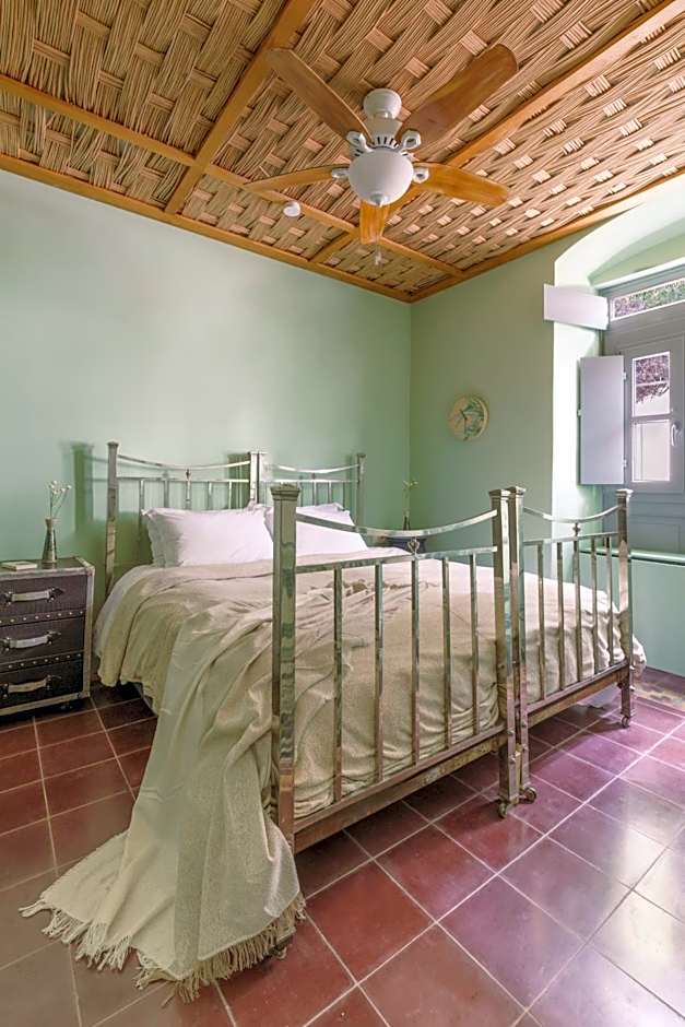 Cactus Hydra - Art Apartments