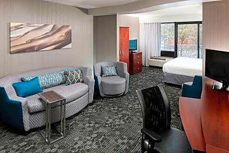 Larger Guest room, 1 King, Sofa bed